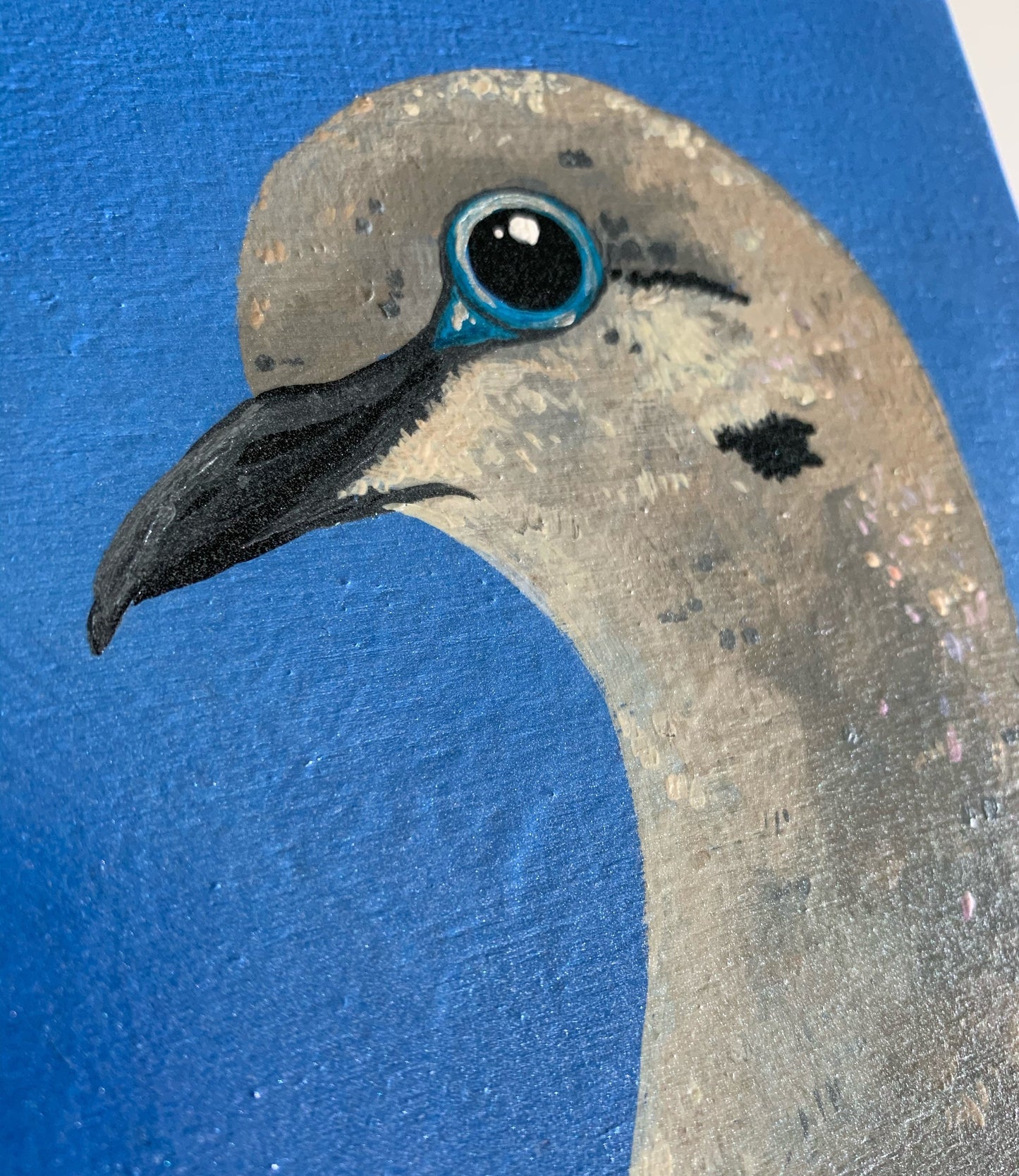 Daily Pearl: THURSDAY Mourning Dove Original Painting