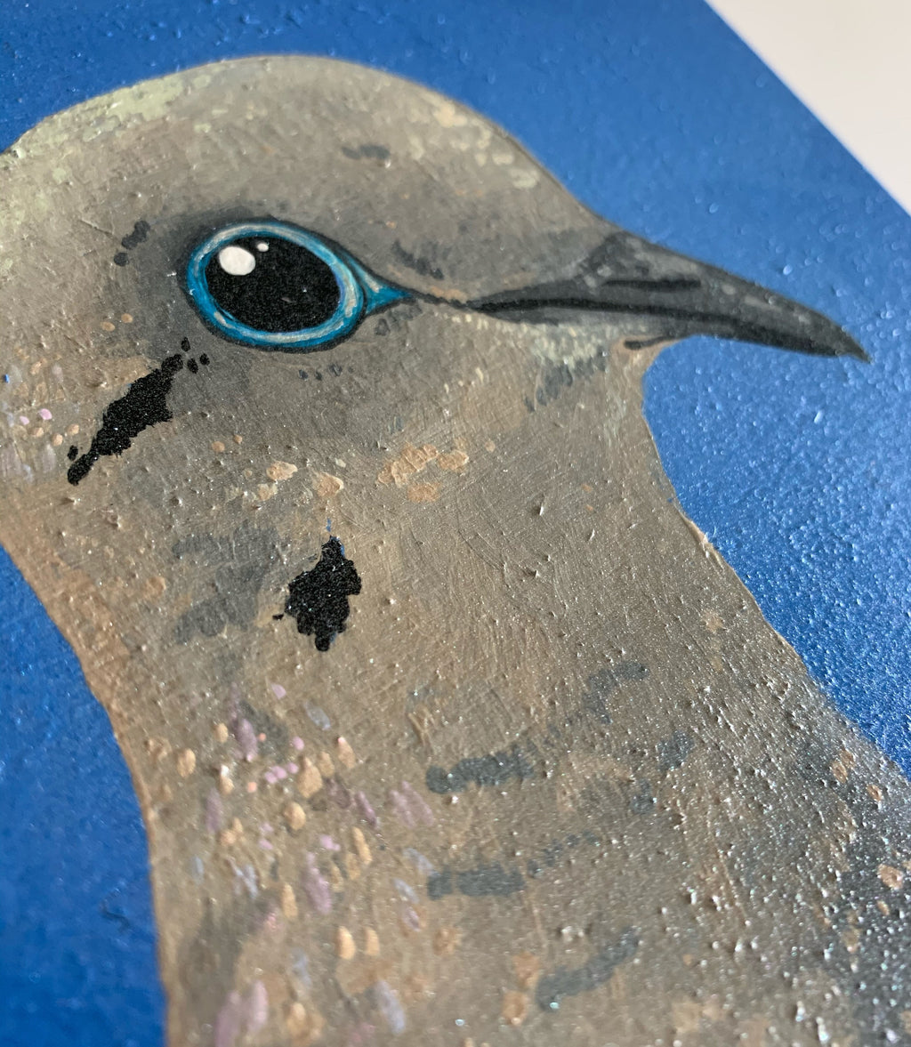 Daily Pearl: WEDNESDAY Mourning Dove Original Painting