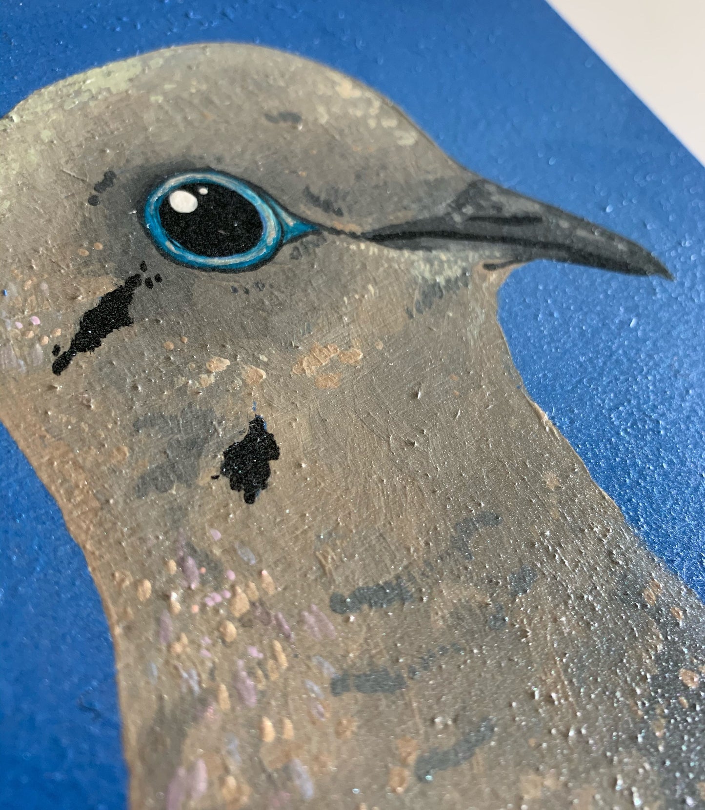 Daily Pearl: WEDNESDAY Mourning Dove Original Painting