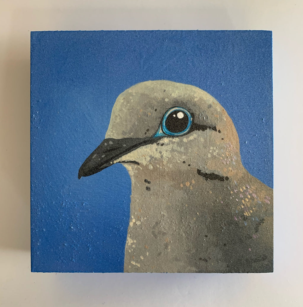 Daily Pearl: SATURDAY Mourning Dove Original Painting
