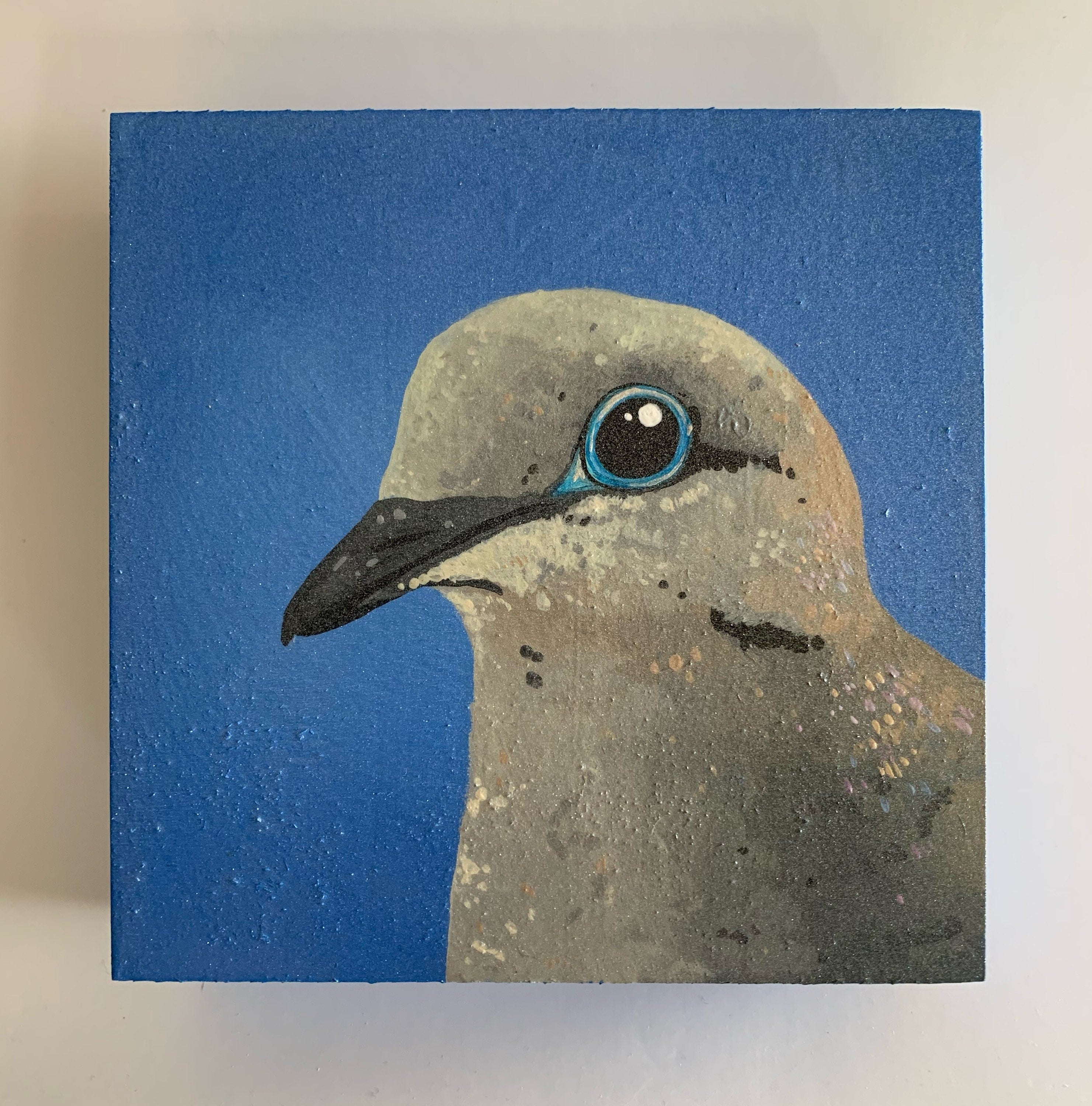 Daily Pearl: SATURDAY Mourning Dove Original Painting