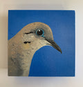 Daily Pearl: TUESDAY Mourning Dove Original Painting