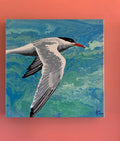 ORIGINAL painting Arctic Tern on gallery canvas