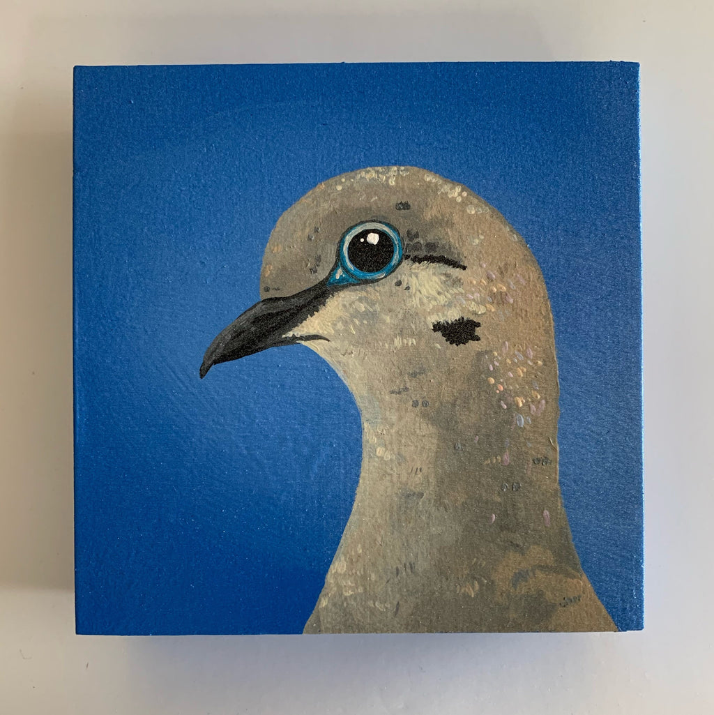 Daily Pearl: THURSDAY Mourning Dove Original Painting