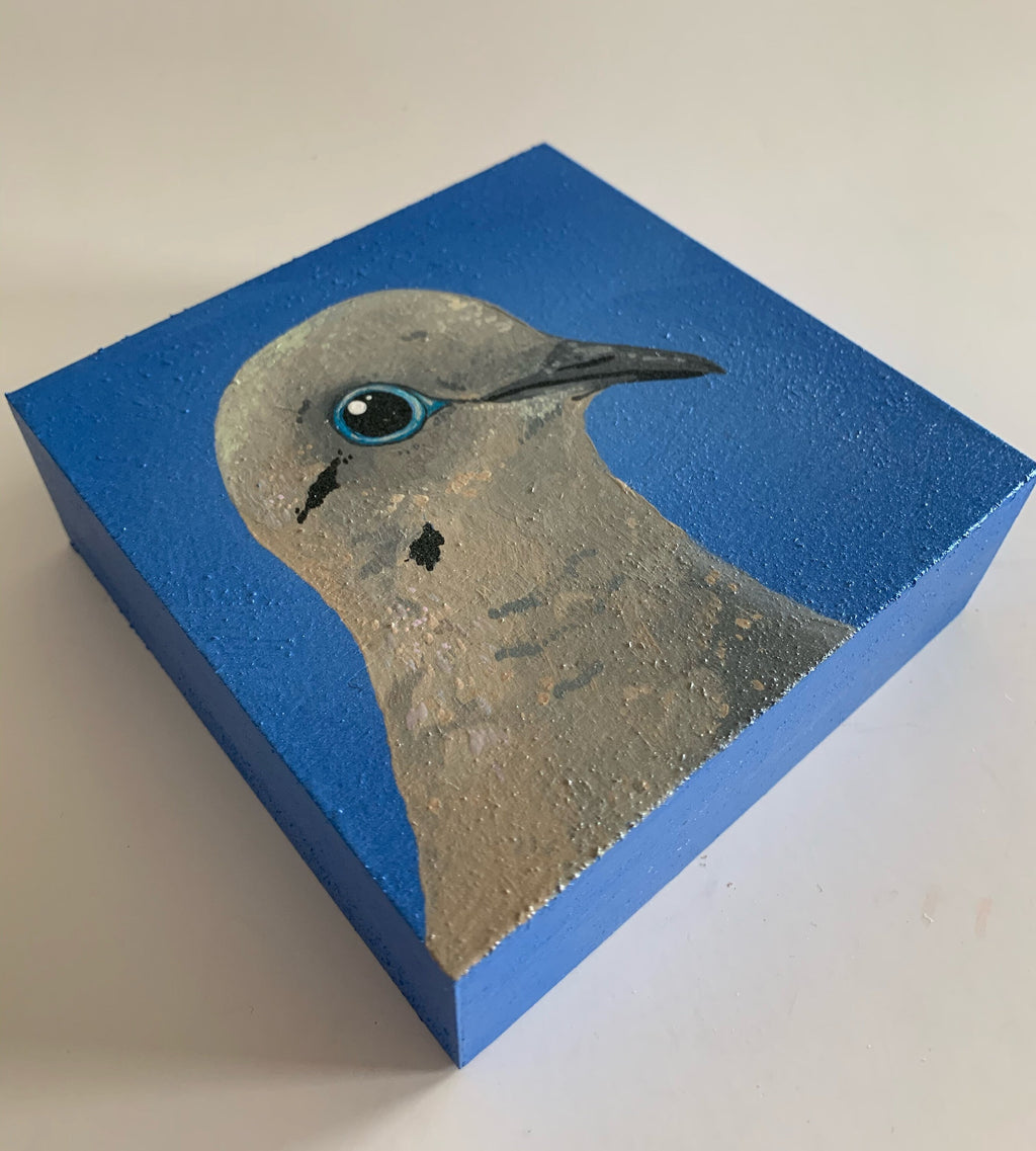 Daily Pearl: WEDNESDAY Mourning Dove Original Painting