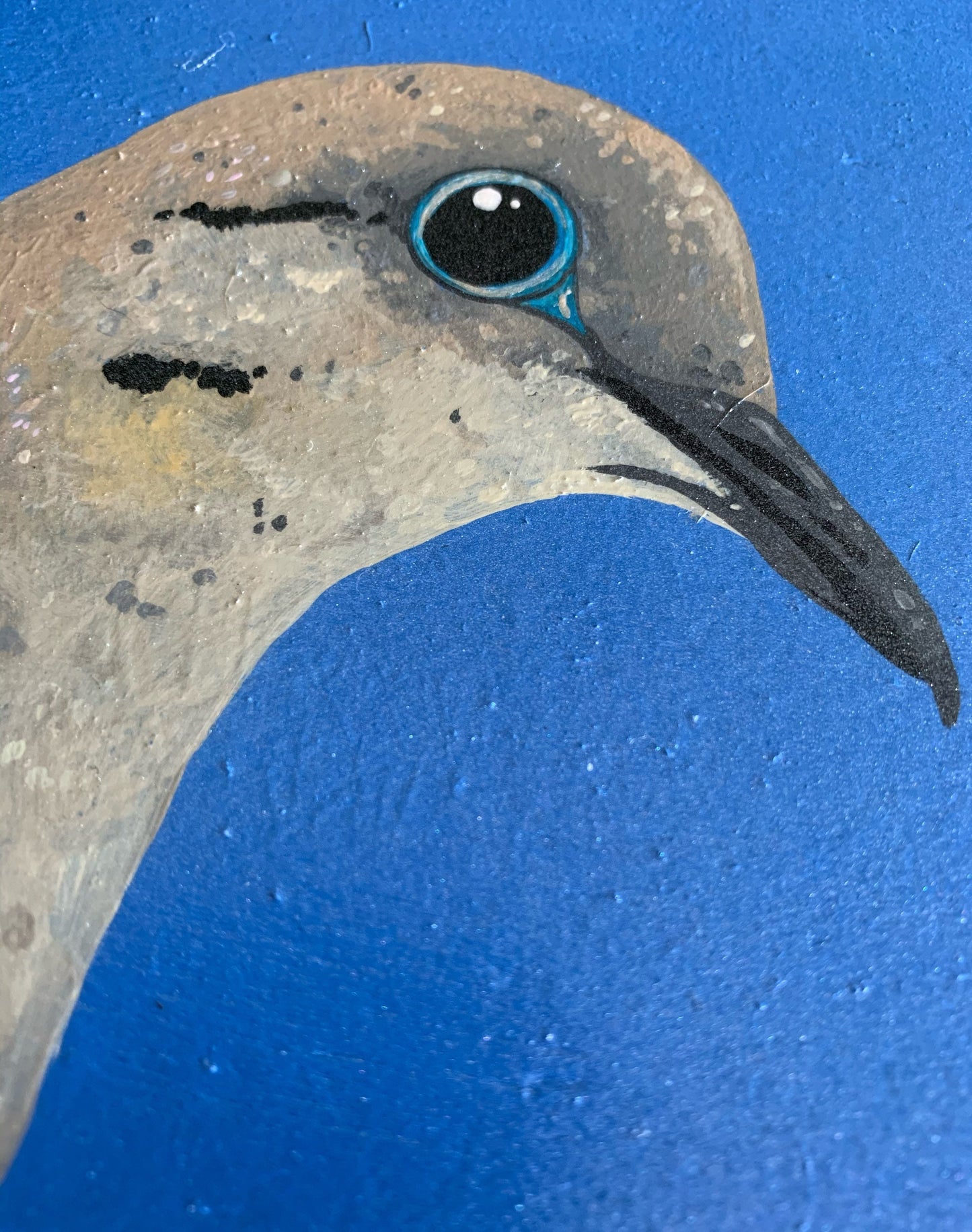 Daily Pearl: TUESDAY Mourning Dove Original Painting