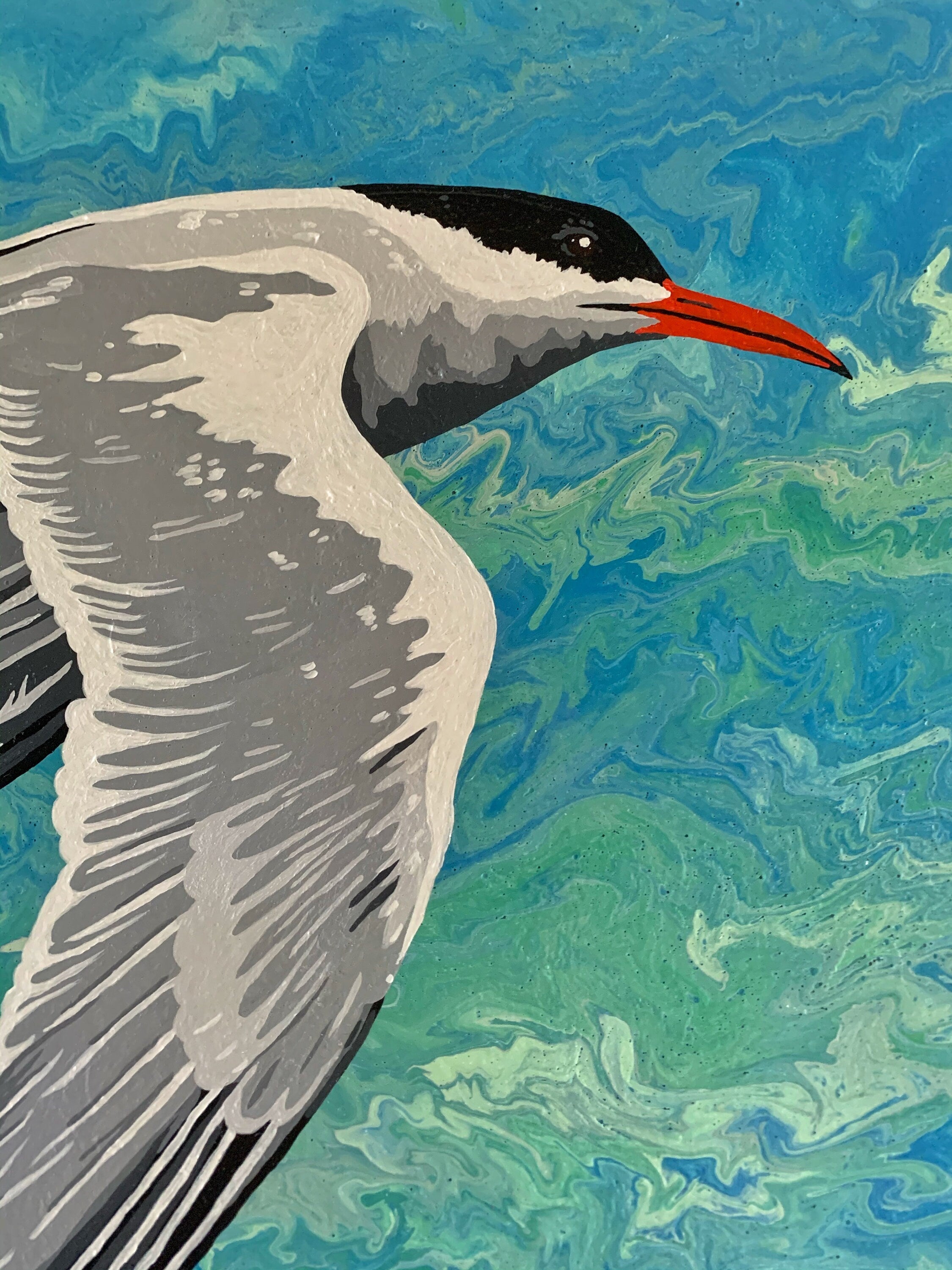 ORIGINAL painting Arctic Tern on gallery canvas