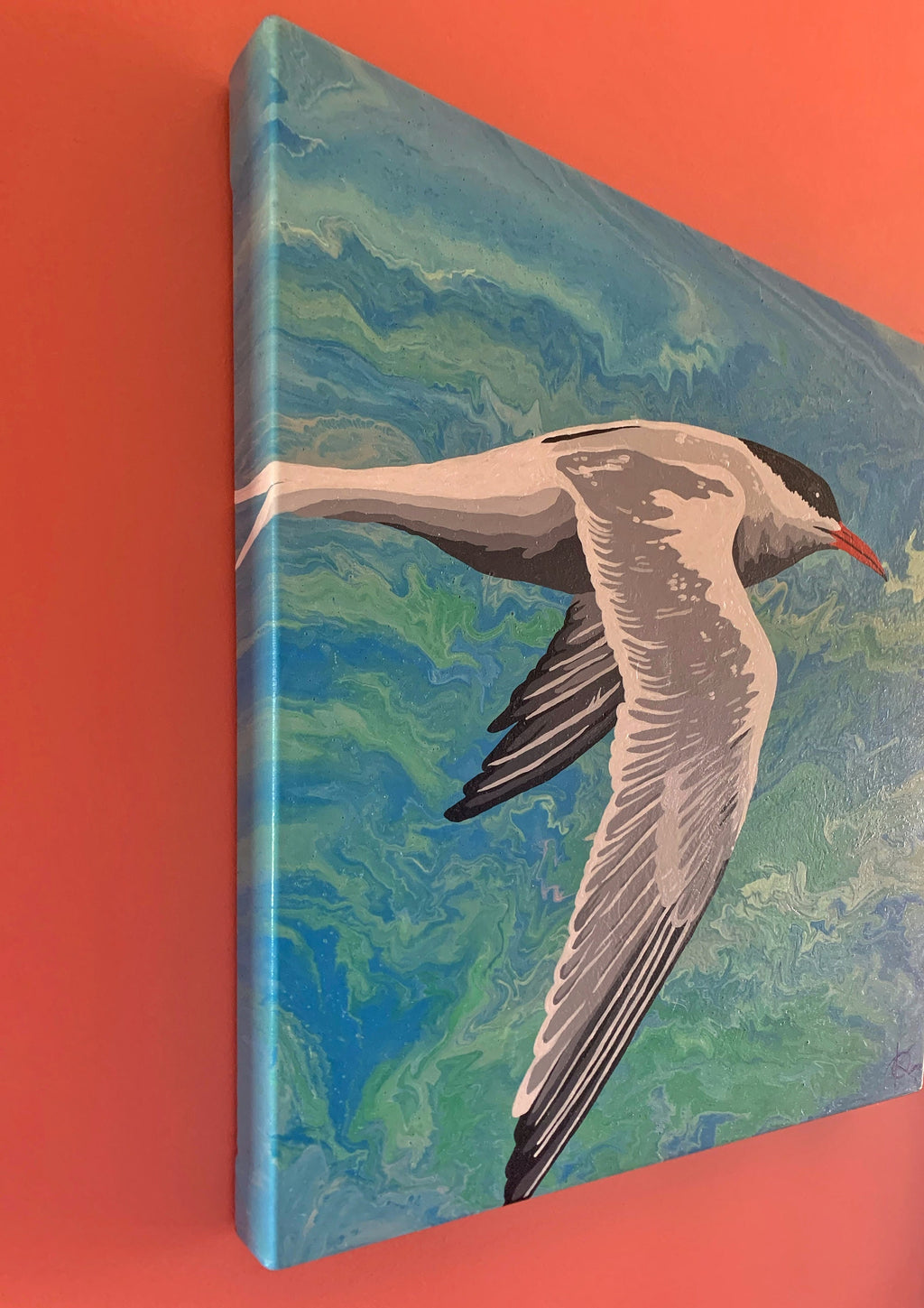 ORIGINAL painting Arctic Tern on gallery canvas