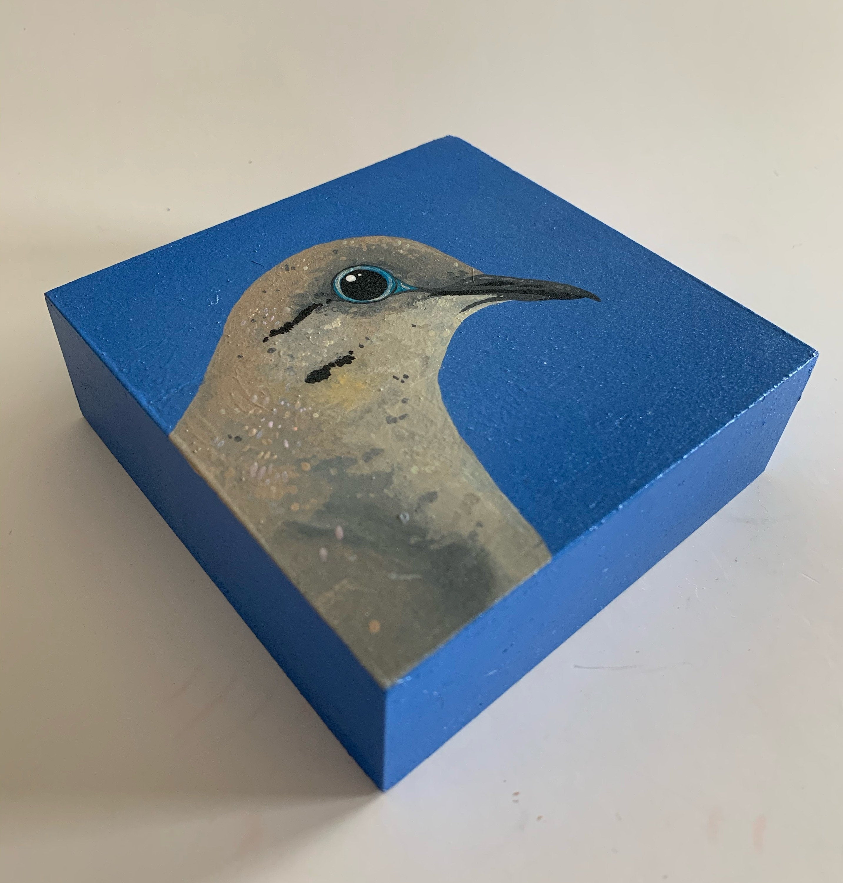 Daily Pearl: TUESDAY Mourning Dove Original Painting