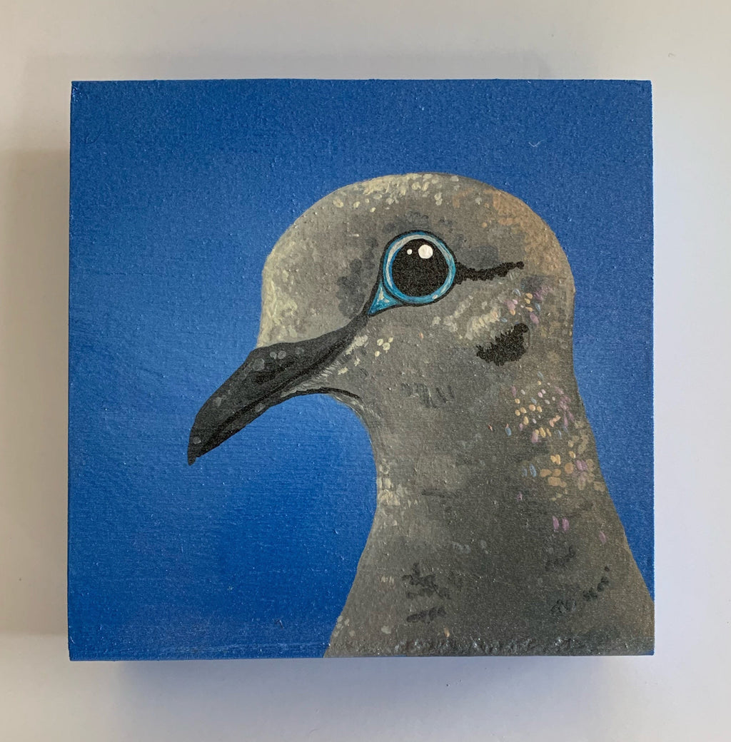 Daily Pearl: SUNDAY Mourning Dove Original Painting