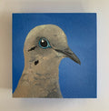 Daily Pearl: WEDNESDAY Mourning Dove Original Painting