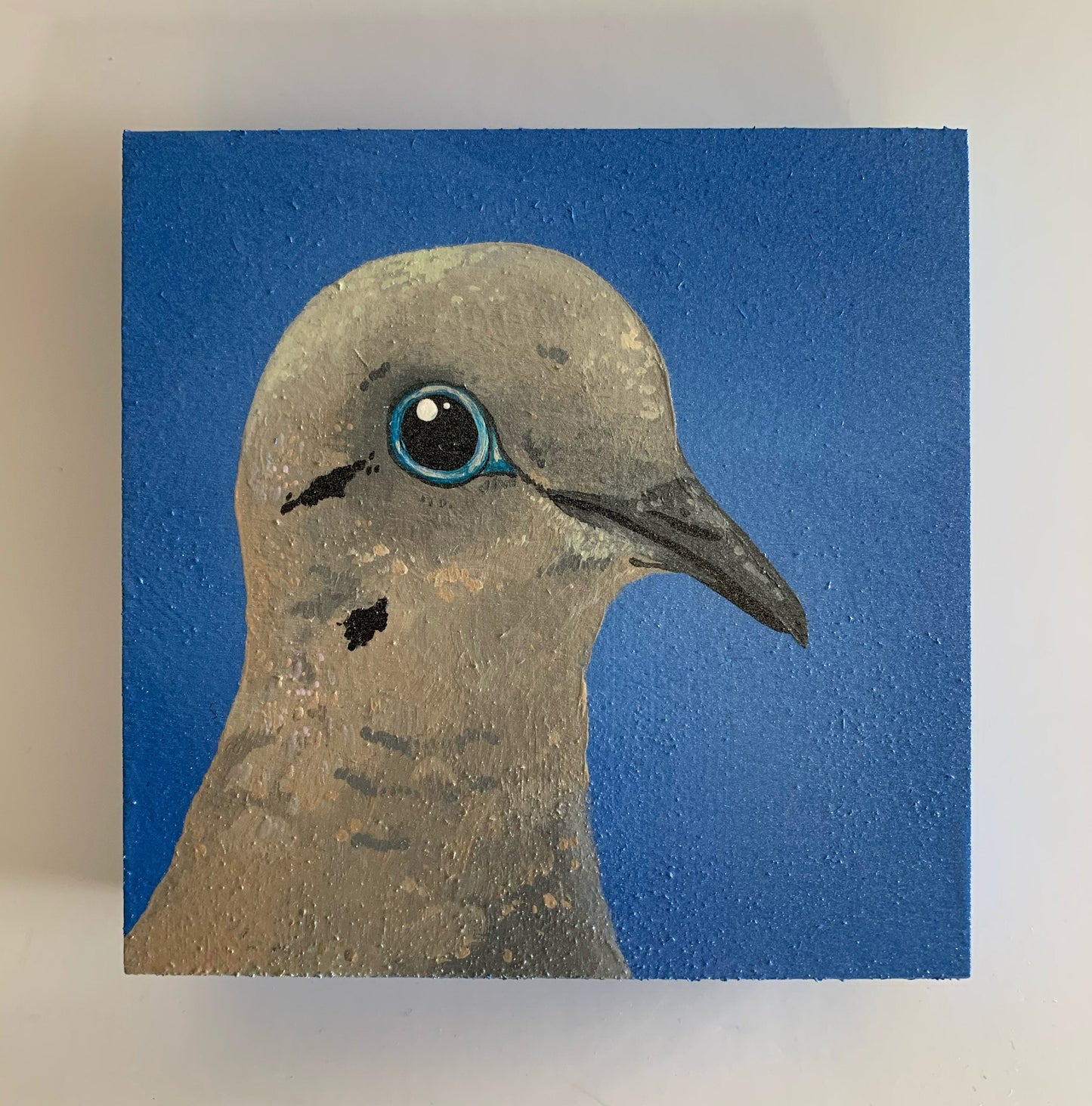 Daily Pearl: WEDNESDAY Mourning Dove Original Painting