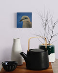 Daily Pearl: SATURDAY Mourning Dove Original Painting